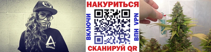 Бошки Шишки сатива  Купить закладки  Бабаево 